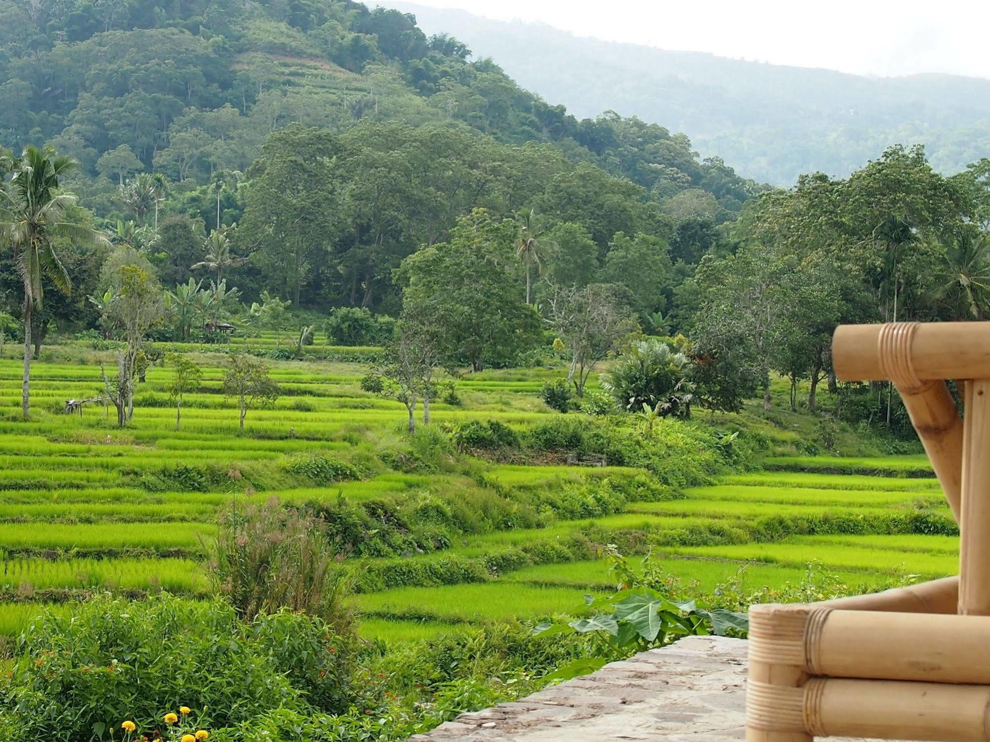 Kelimutu Crater Lakes Ecolodge Desa Kowanara ภายนอก รูปภาพ
